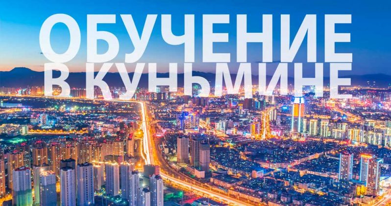 Правительственный грант китая