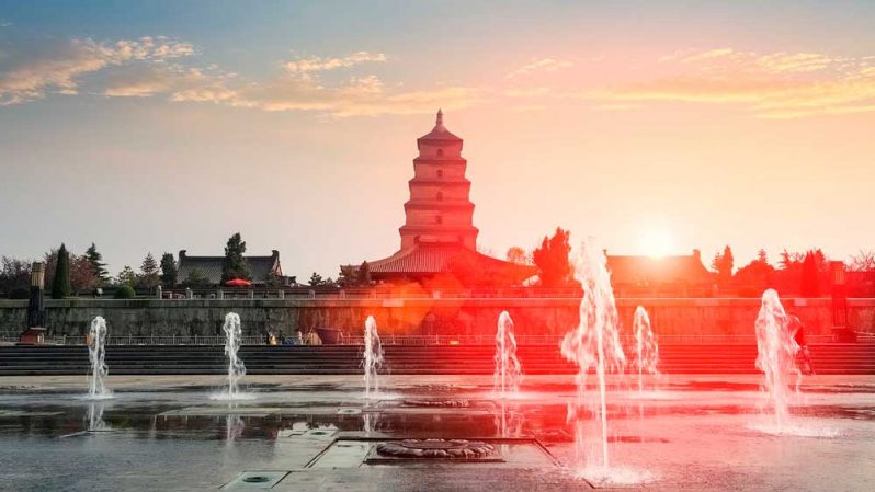 Правительственный грант китая